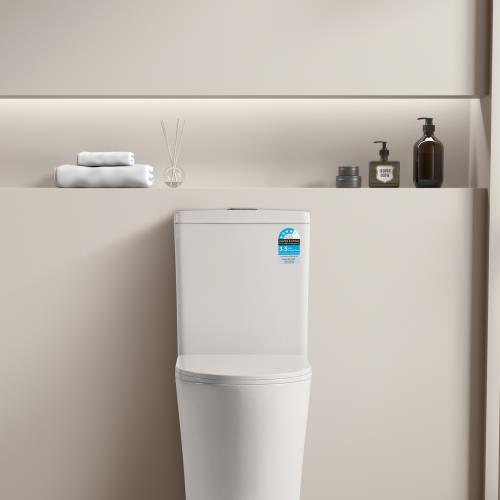 TOILETS - Tornado Wall Faced Toilet Suite